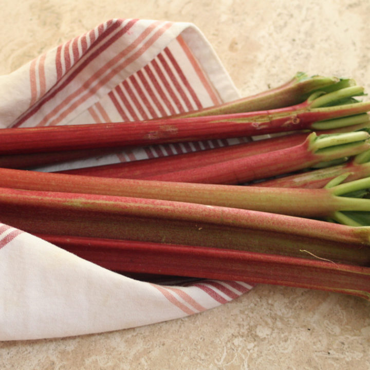 Rhubarb