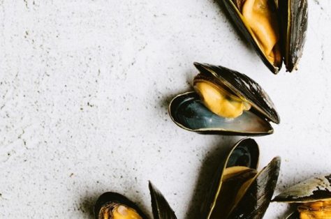 Mussels 1